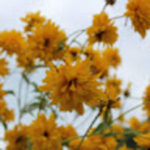 Meet your Posher, Kati